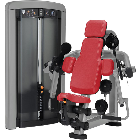 Bicep Curl CLF-06