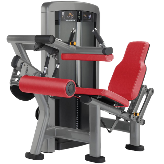 Seated Leg Curl CLF-08