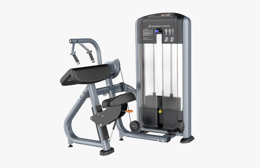 Phoenix 45 Degree Triceps Extension P-019