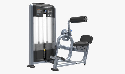 Phoenix Back Extension P-022