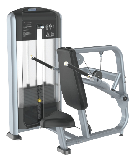 Phoenix Seated Dip P-018