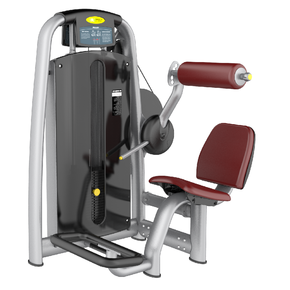 Skyline Lower Back Extension S-11