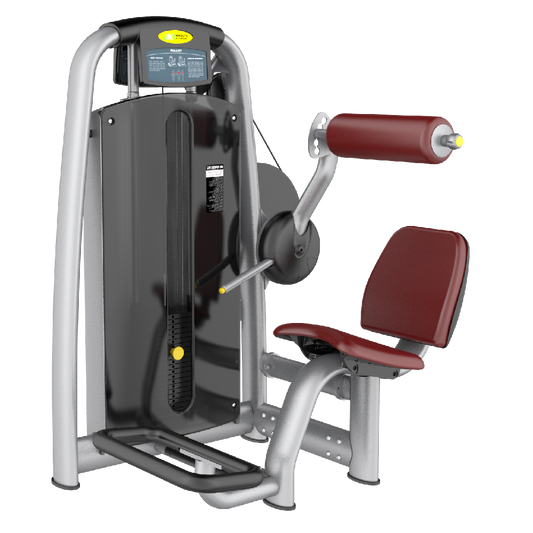 Skyline Lower Back Extension S-11