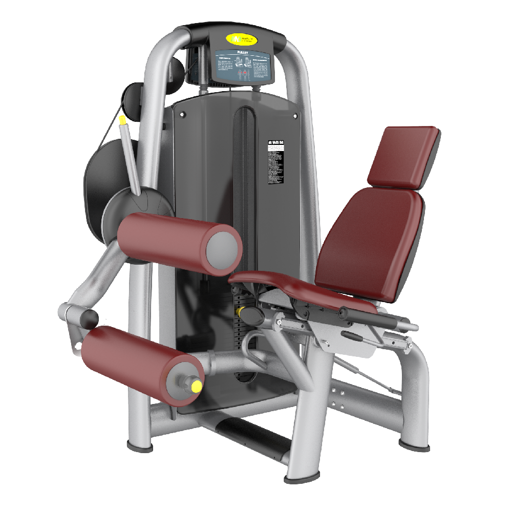 Skyline Seated Leg Curl S-16