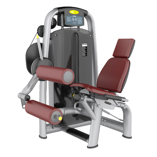 Skyline Seated Leg Curl S-16