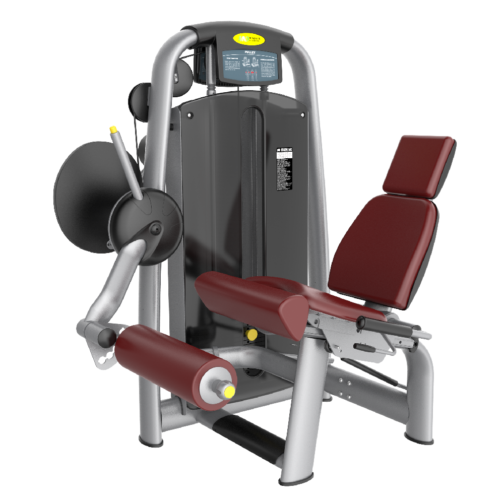Skyline Seated Leg Extension S-19