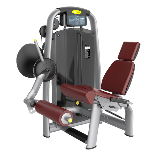 Skyline Seated Leg Extension S-19