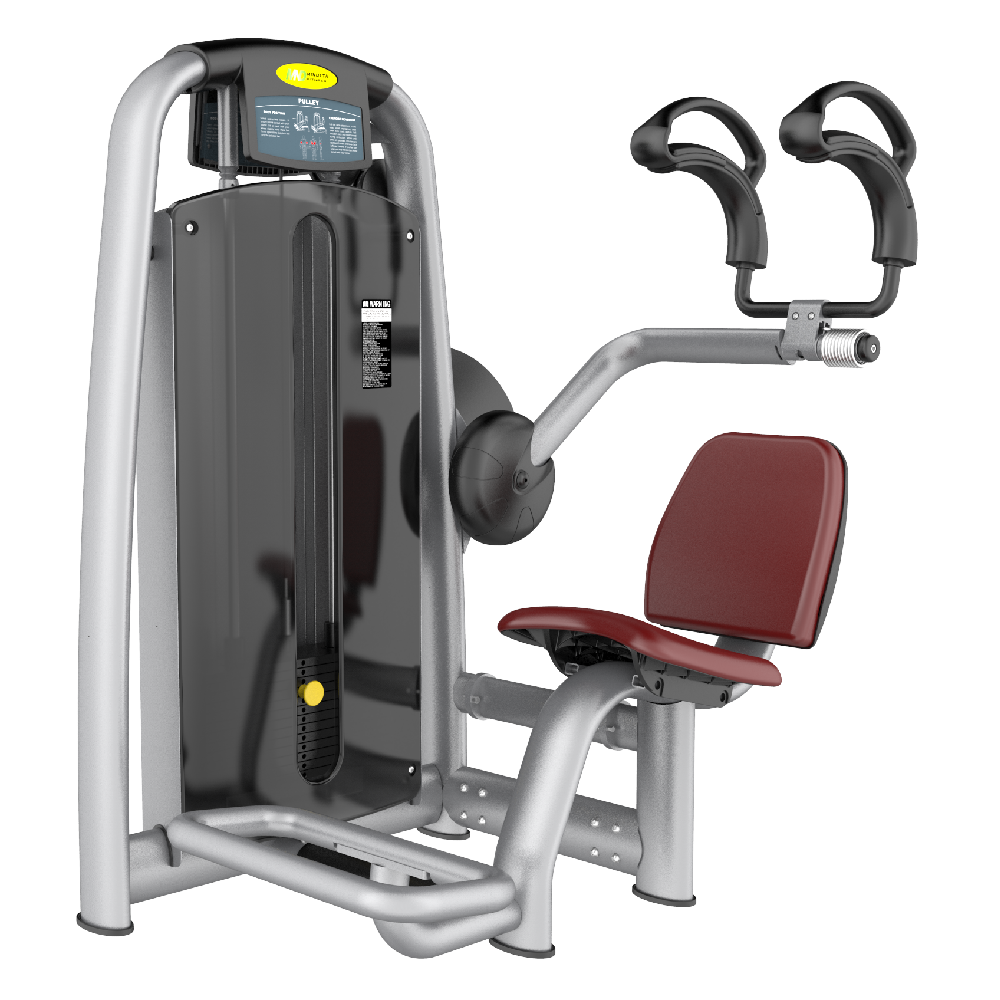 Skyline Abdominal Machine S-20