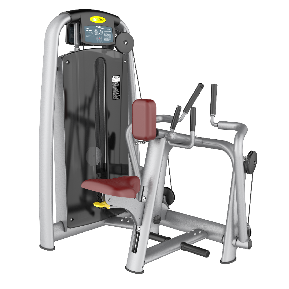 Skyline Seated Row Machine S-22