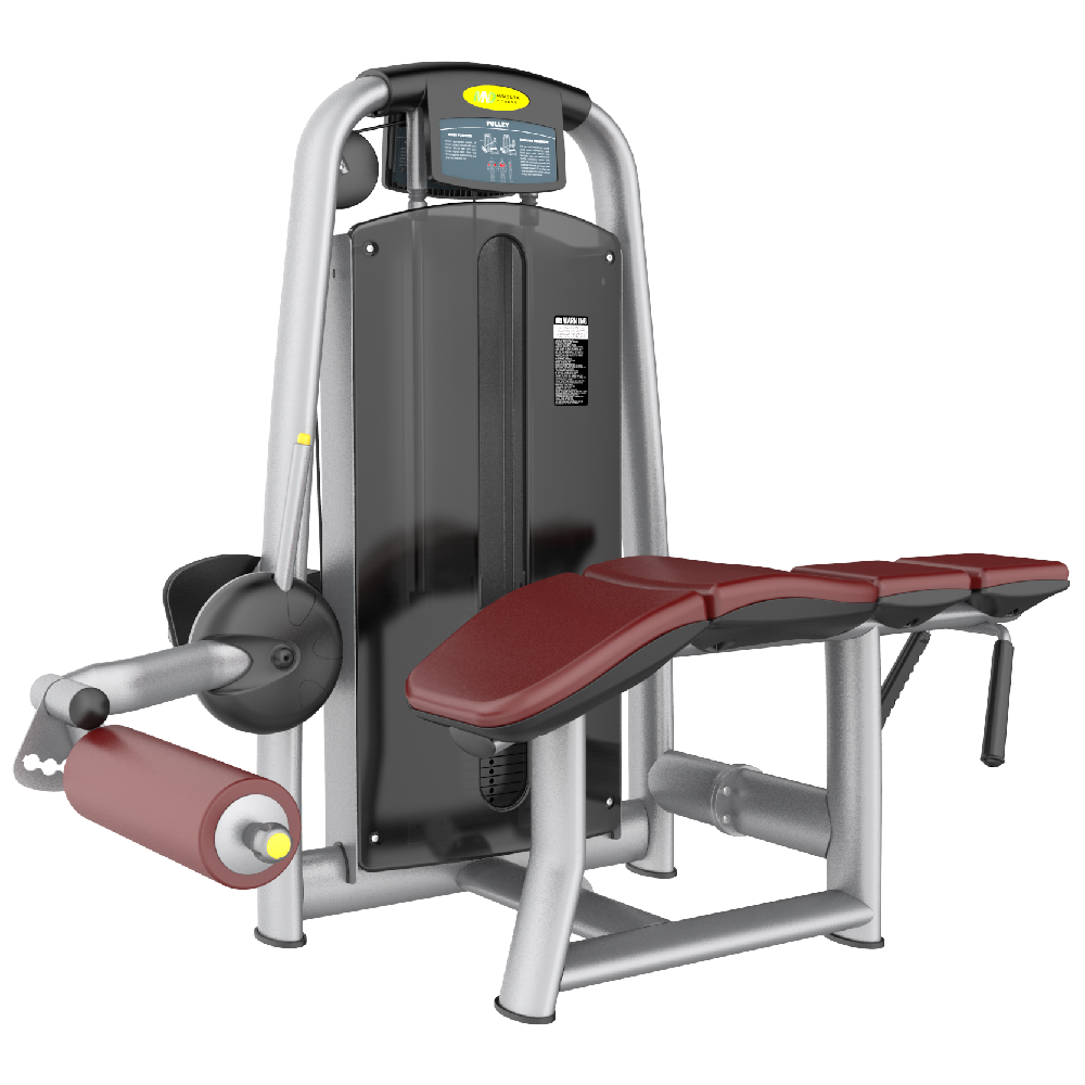 Skyline Lying Leg Curl S-28