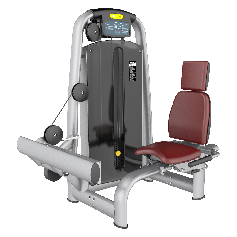 Skyline Seated Calf Machine S-31