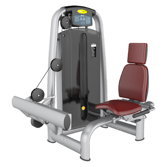Skyline Seated Calf Machine S-31
