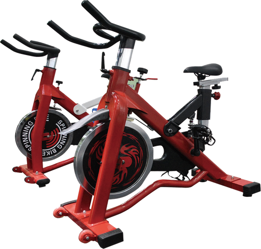 Chain Driven Exercise Bike MND-D01
