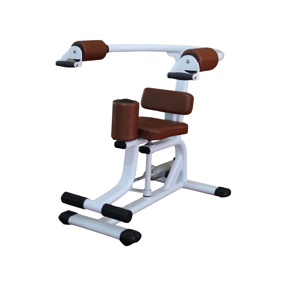 Rotary Torso Machine H-10