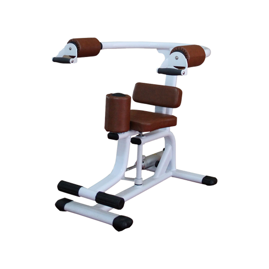Rotary Torso Machine H-10