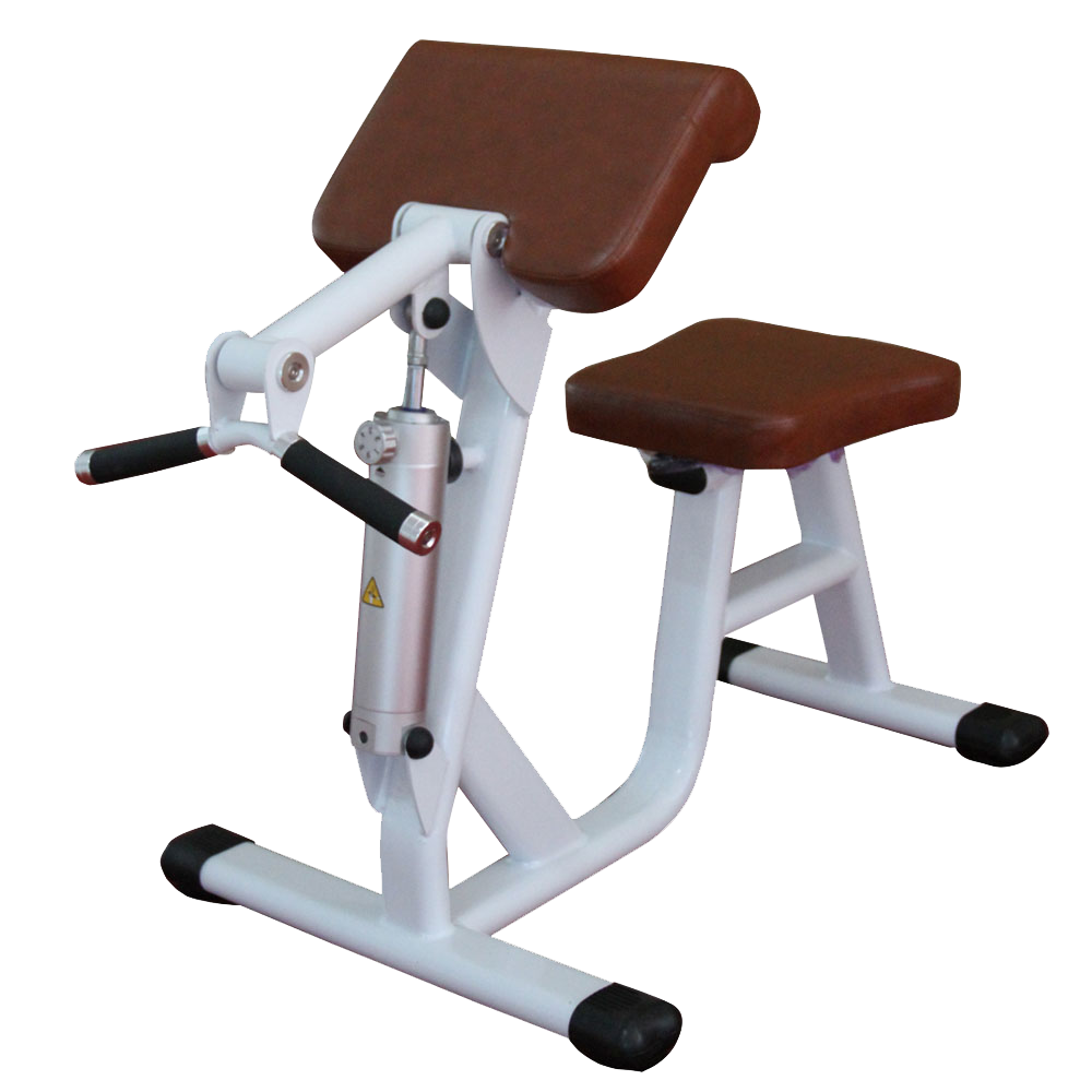 Biceps Curl/Triceps Extention Machine H-4