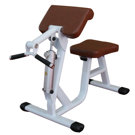 Biceps Curl/Triceps Extention Machine H-4