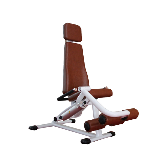 Leg Extension/Leg Curl Machine H-5