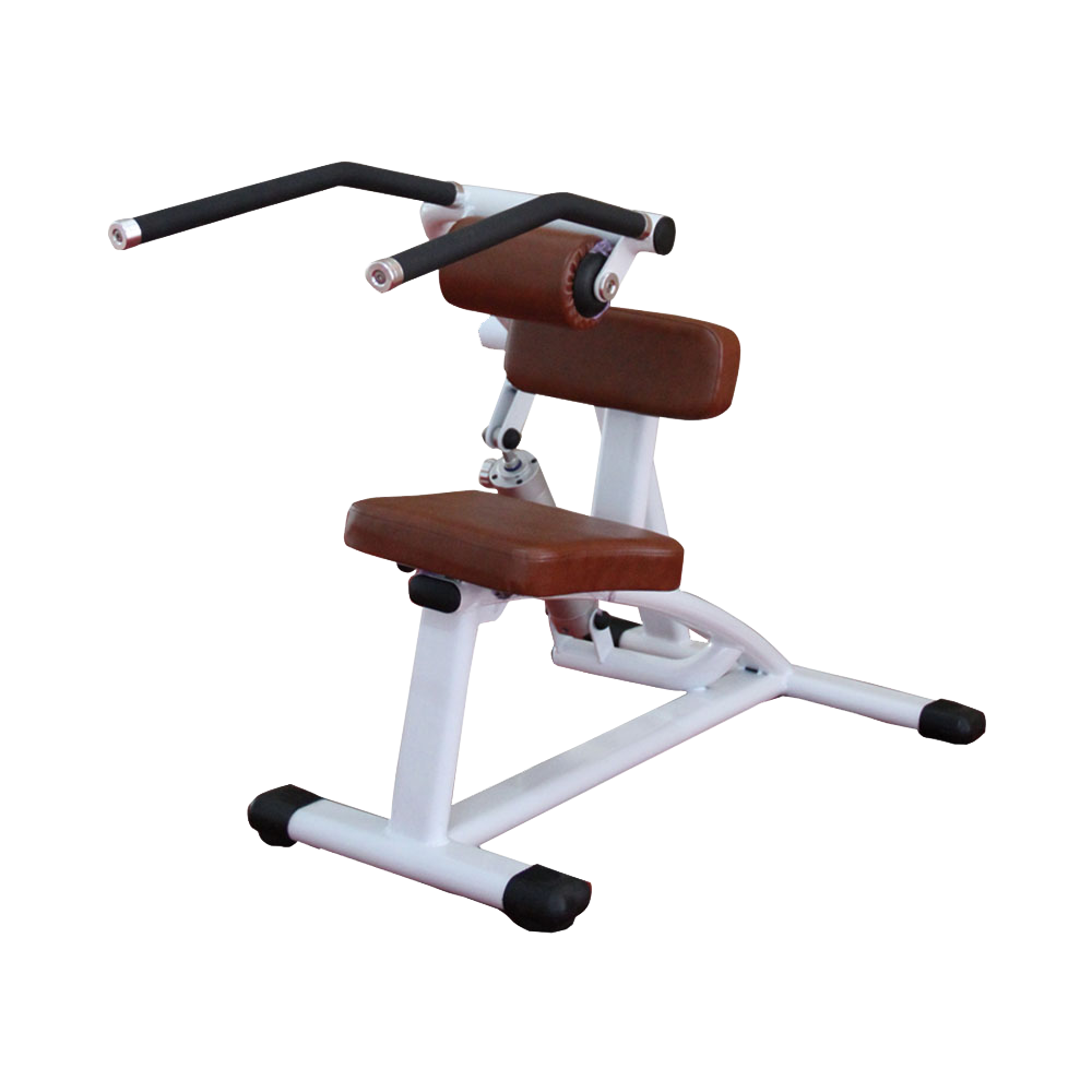 Abdominal Crunch/Back Extension Machine H-9