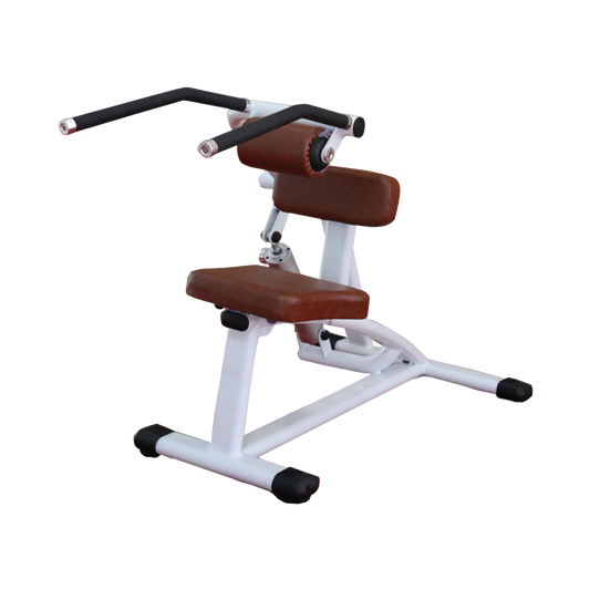 Abdominal Crunch/Back Extension Machine H-9