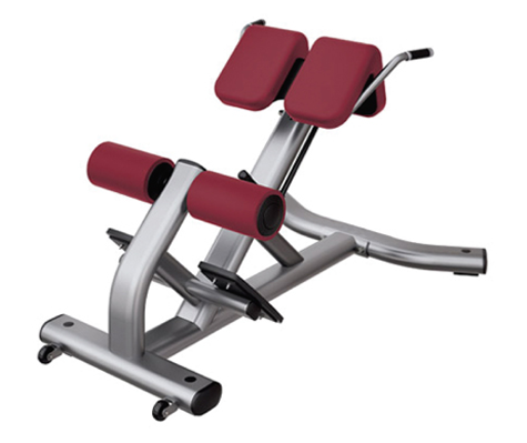 Back Extension L-15