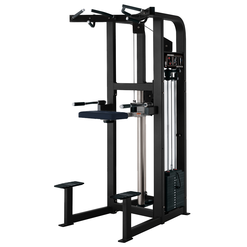 Hammer Pin-Loaded Assisted Dip/Pullup HP-11