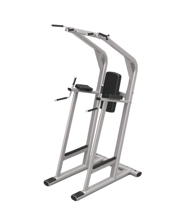 Chin up/Dip/Leg Raise L-20