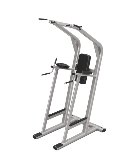 Chin up/Dip/Leg Raise L-20