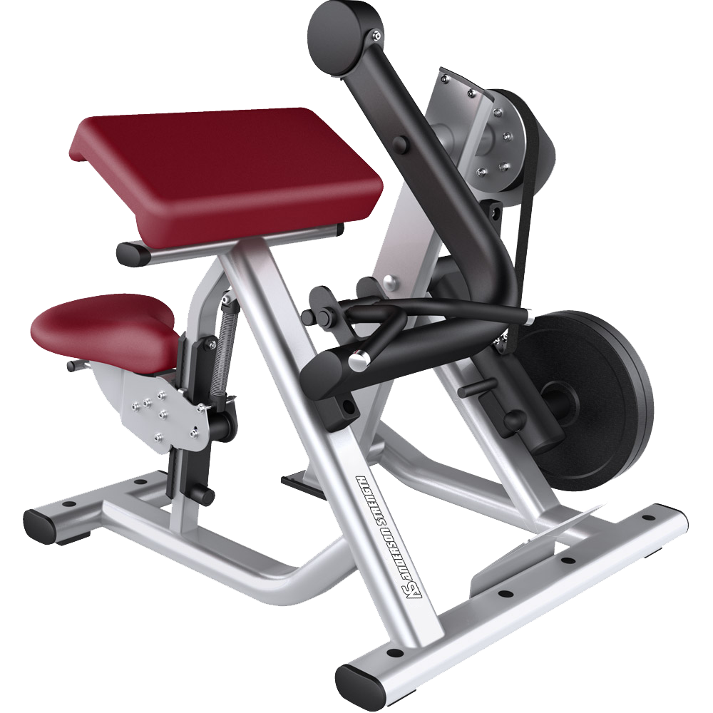Life-fit Bicep Curl LF-08