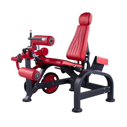 CYPHER Seated Leg Curl C-31