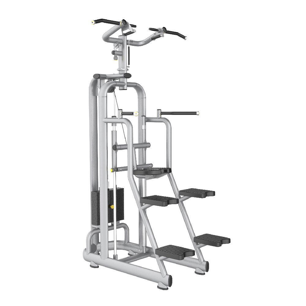 Skyline Assisted Pull Up / Dip S-15
