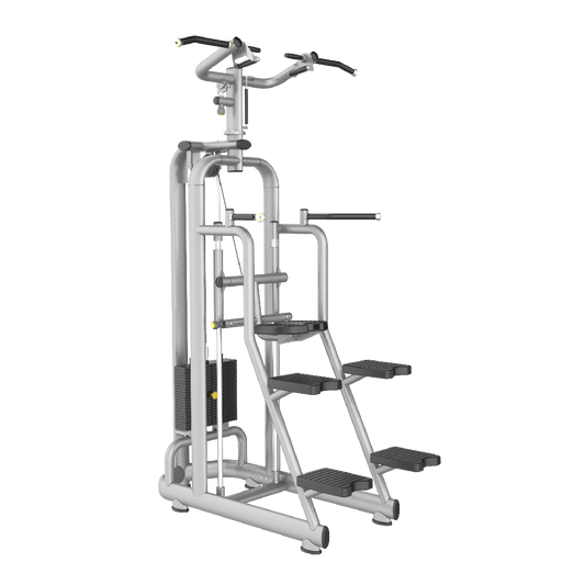 Skyline Assisted Pull Up / Dip S-15